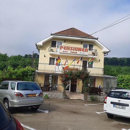 Pensiunea Vidra Băile Felix Exterior foto