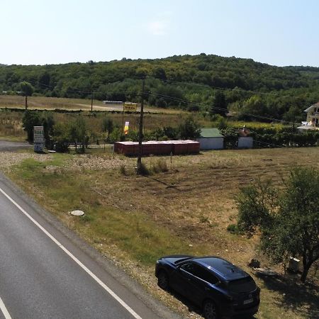 Pensiunea Vidra Băile Felix Exterior foto