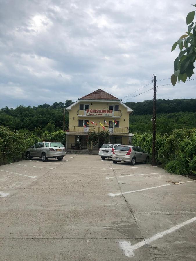 Pensiunea Vidra Băile Felix Exterior foto