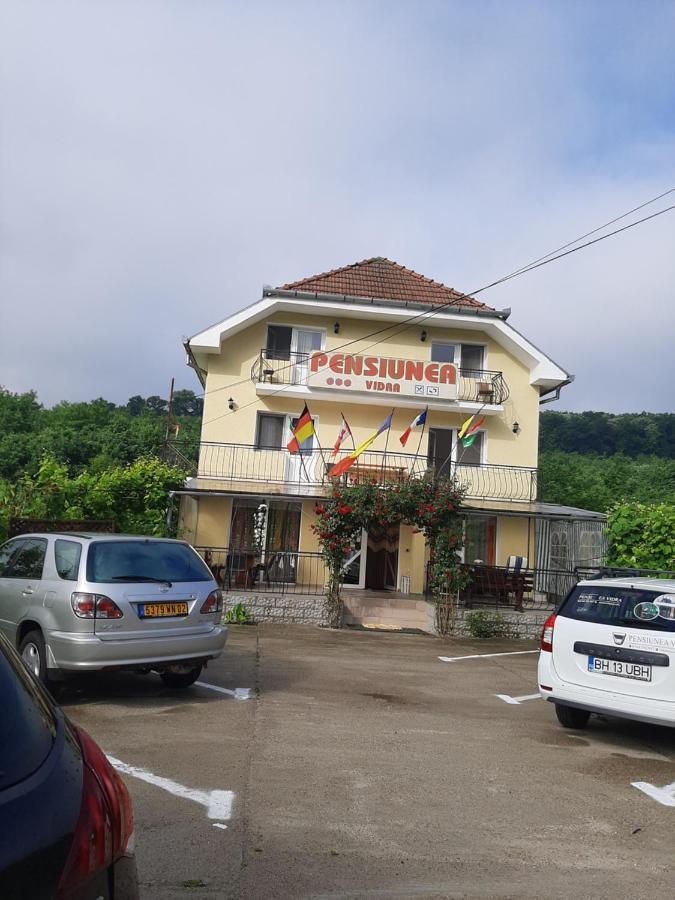 Pensiunea Vidra Băile Felix Exterior foto
