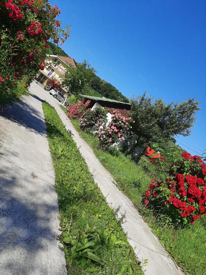 Pensiunea Vidra Băile Felix Exterior foto