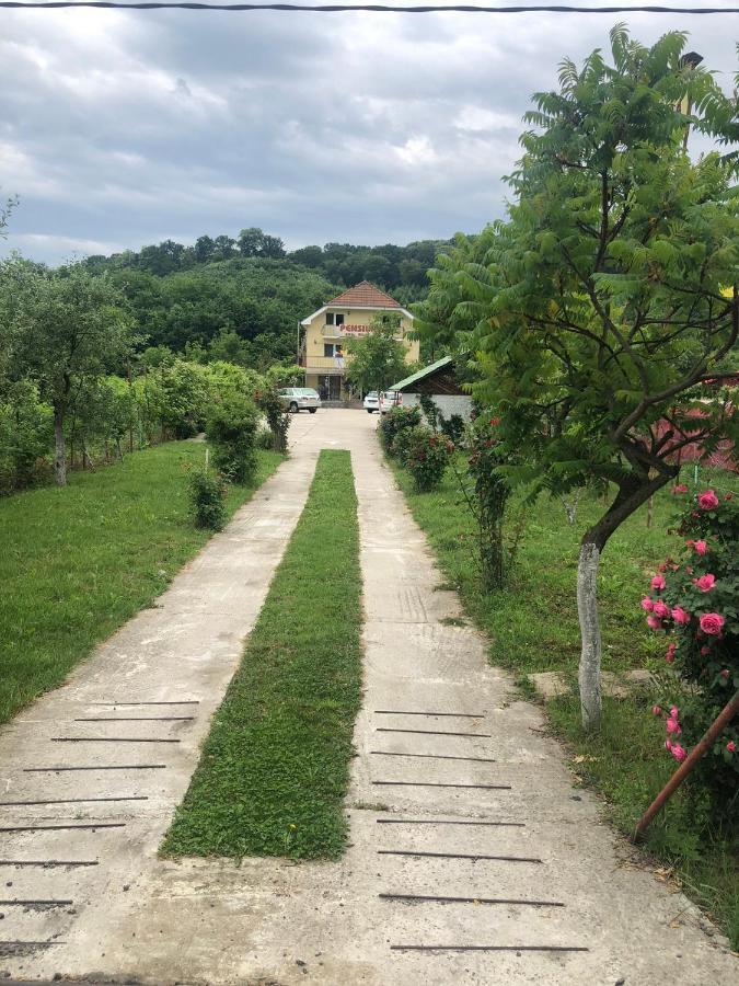 Pensiunea Vidra Băile Felix Exterior foto