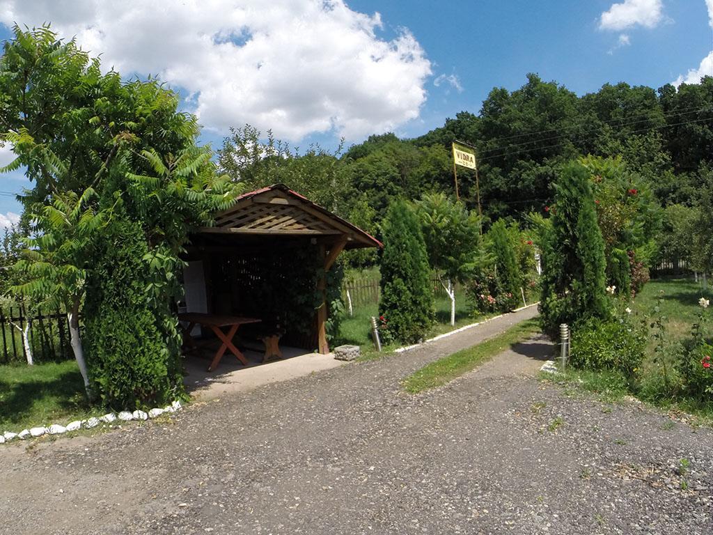 Pensiunea Vidra Băile Felix Exterior foto