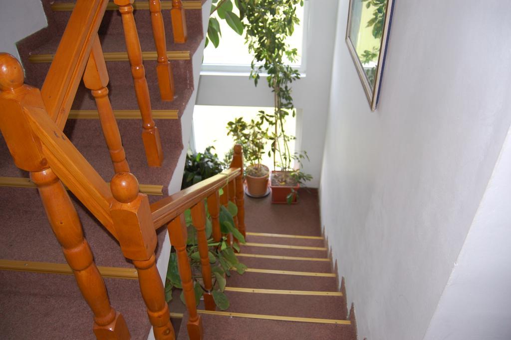 Pensiunea Vidra Băile Felix Exterior foto