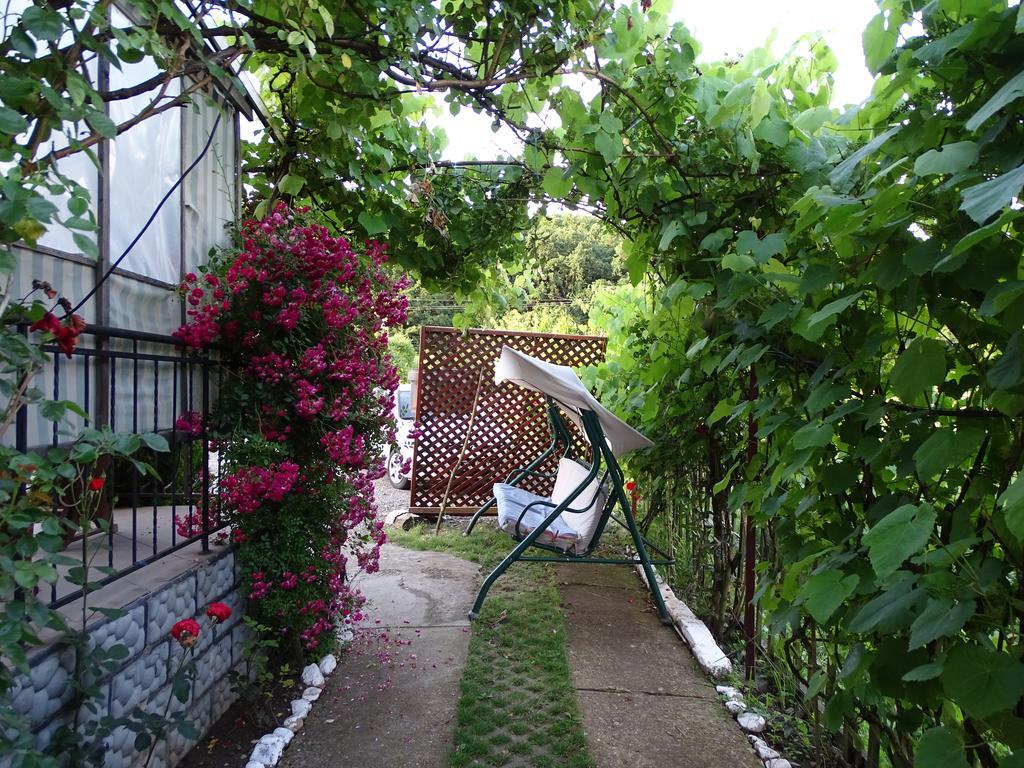 Pensiunea Vidra Băile Felix Exterior foto