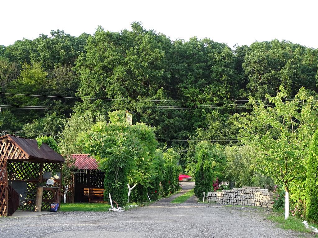 Pensiunea Vidra Băile Felix Exterior foto