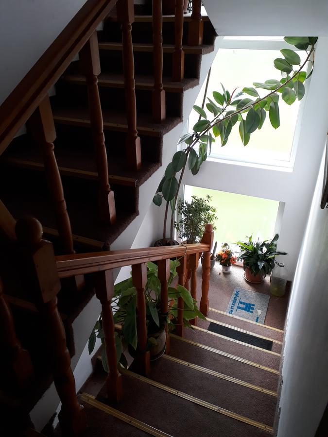 Pensiunea Vidra Băile Felix Exterior foto