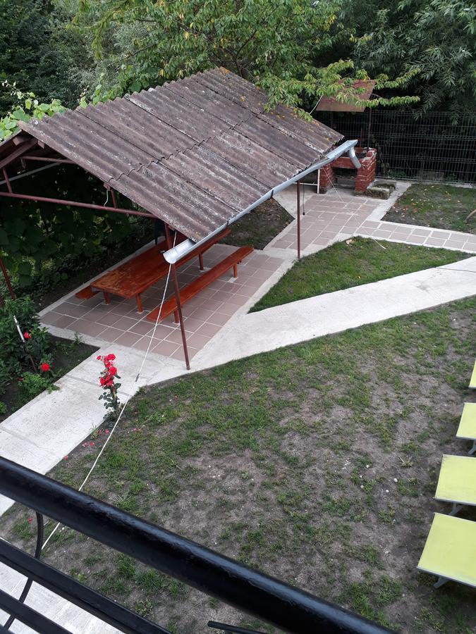 Pensiunea Vidra Băile Felix Exterior foto