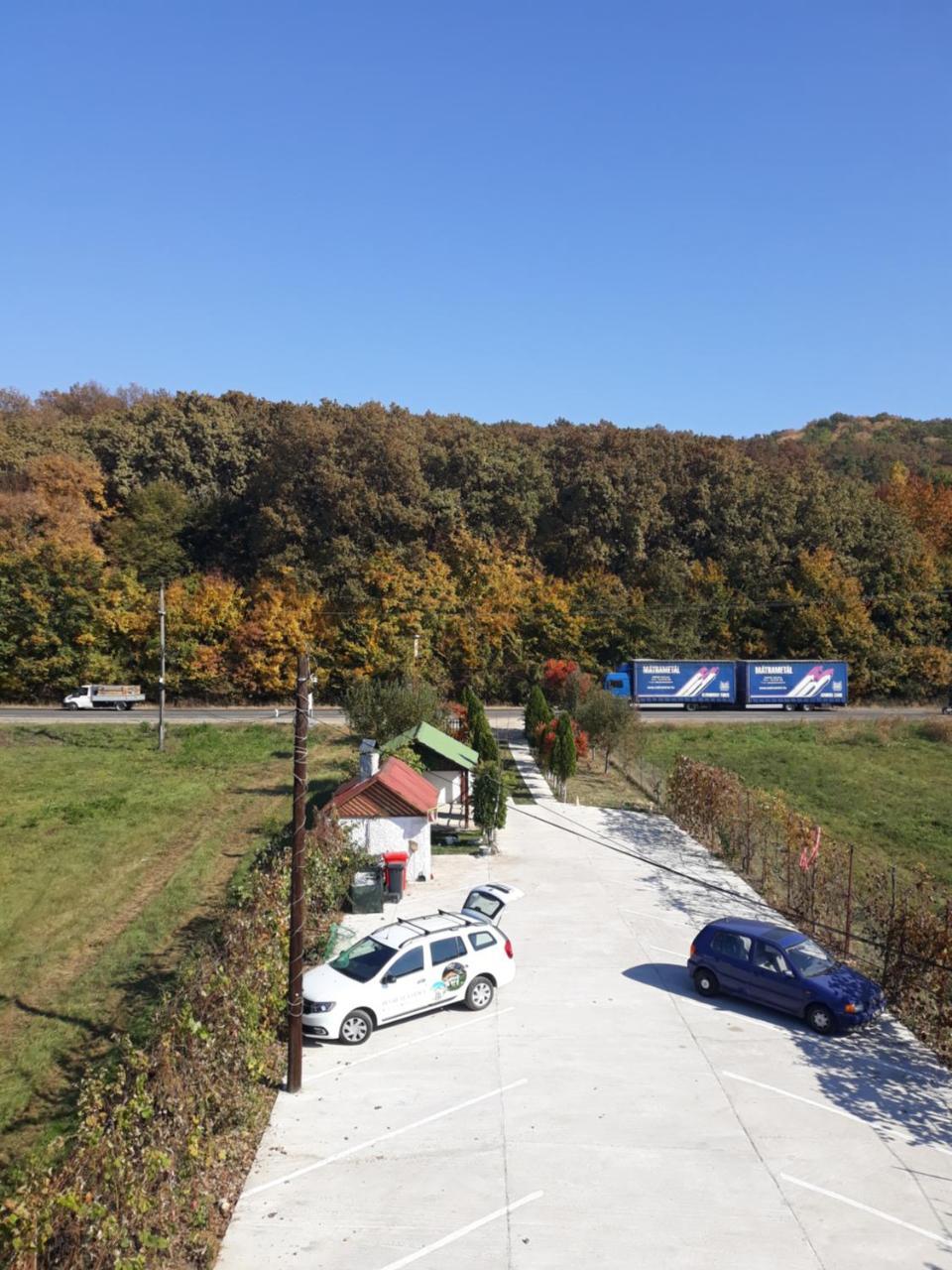 Pensiunea Vidra Băile Felix Exterior foto